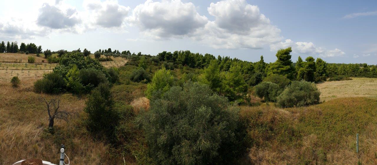 Villa in Kryopigi - view 1