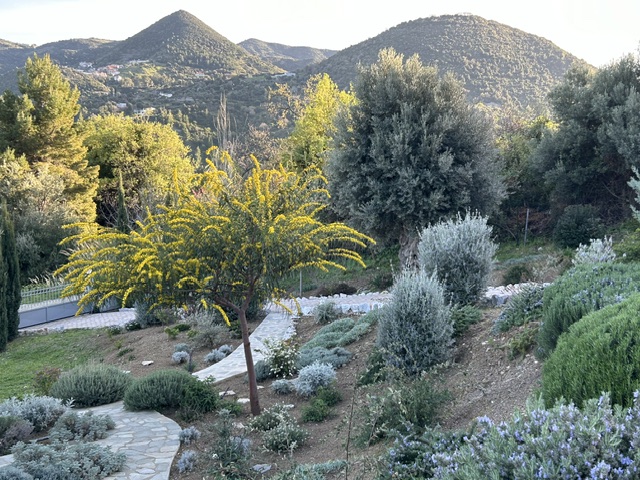 Villa in Kimi - view 1