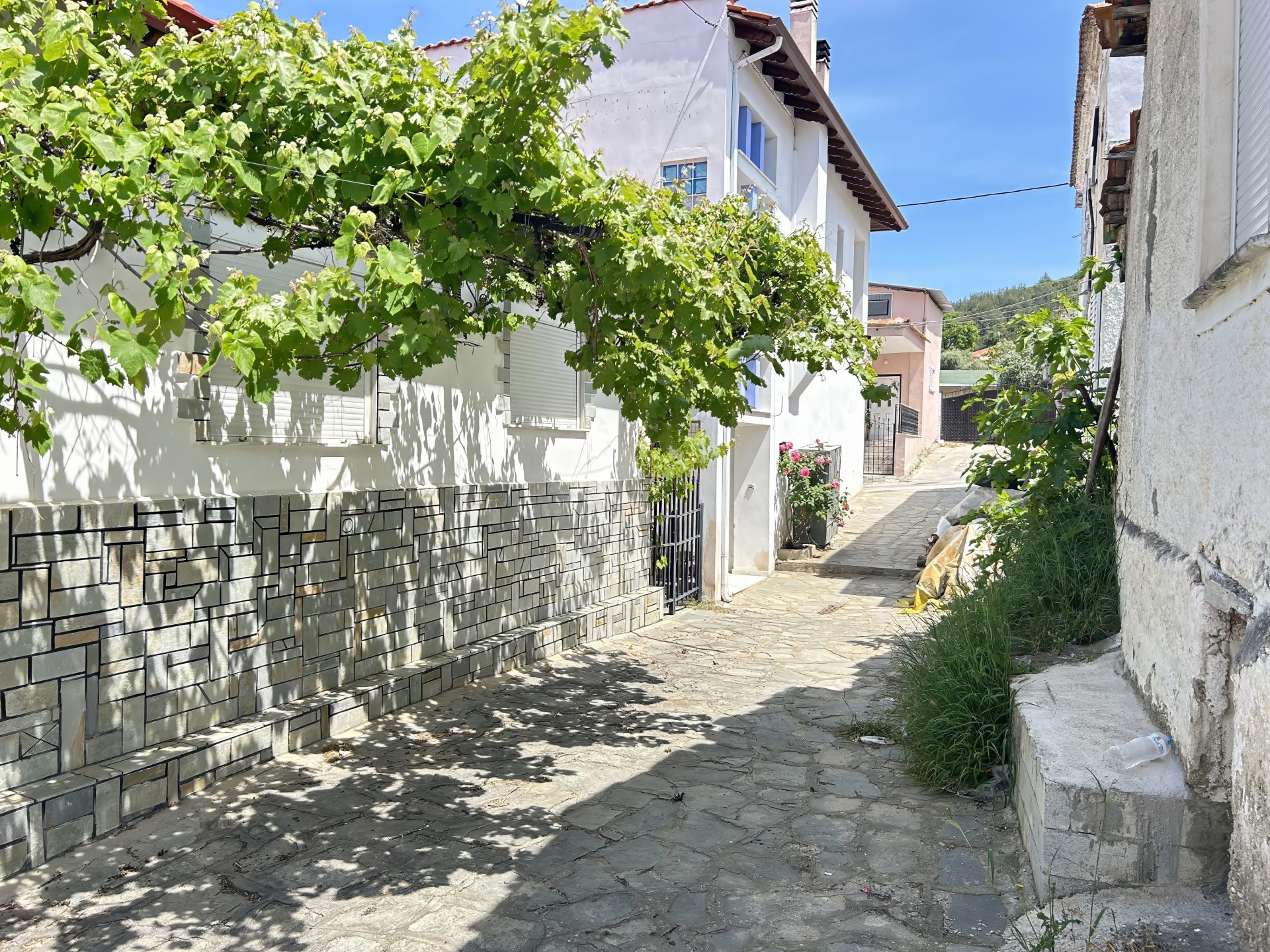 House in Limenaria - view 1