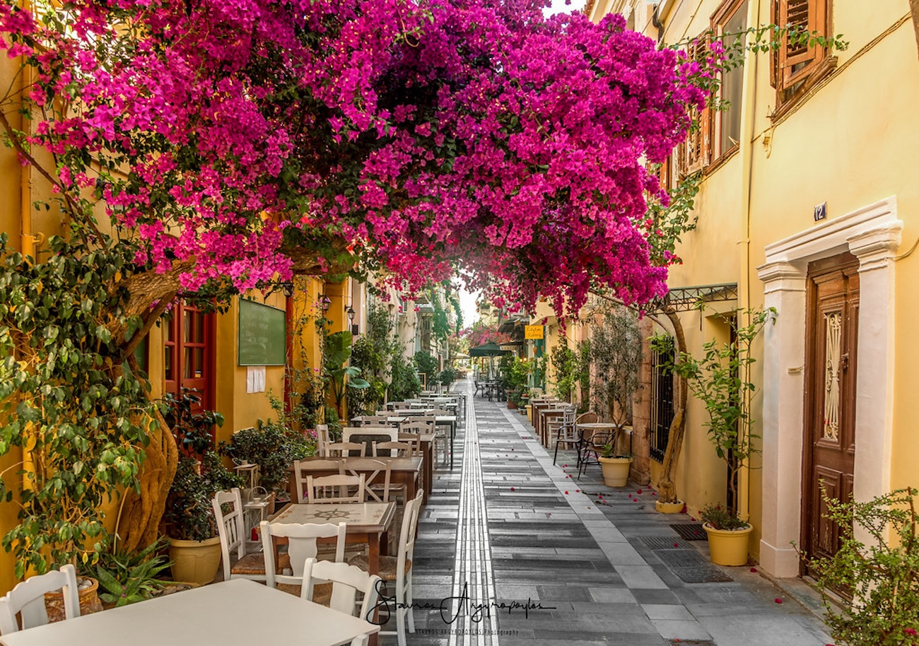 Bougainvillas in Greece