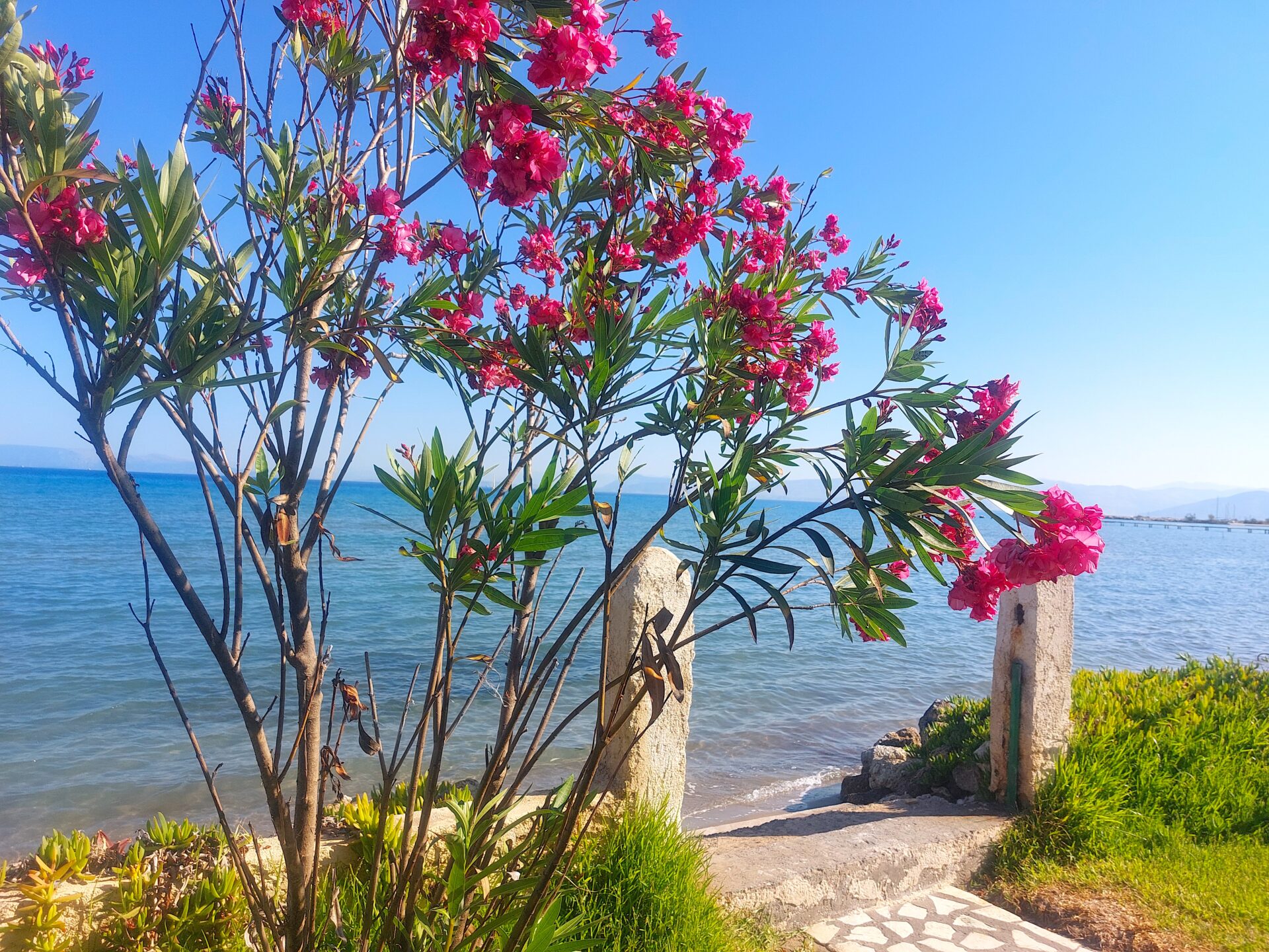 Elxis At Home in Greece Molos Beachfront Home Corfu1