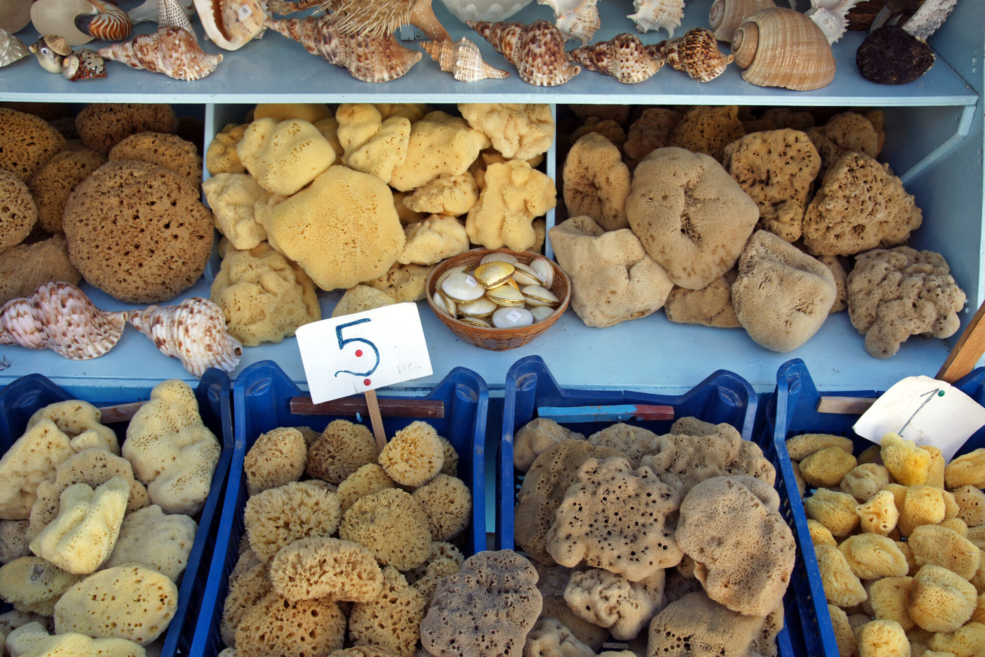 Sea Sponges From Symi