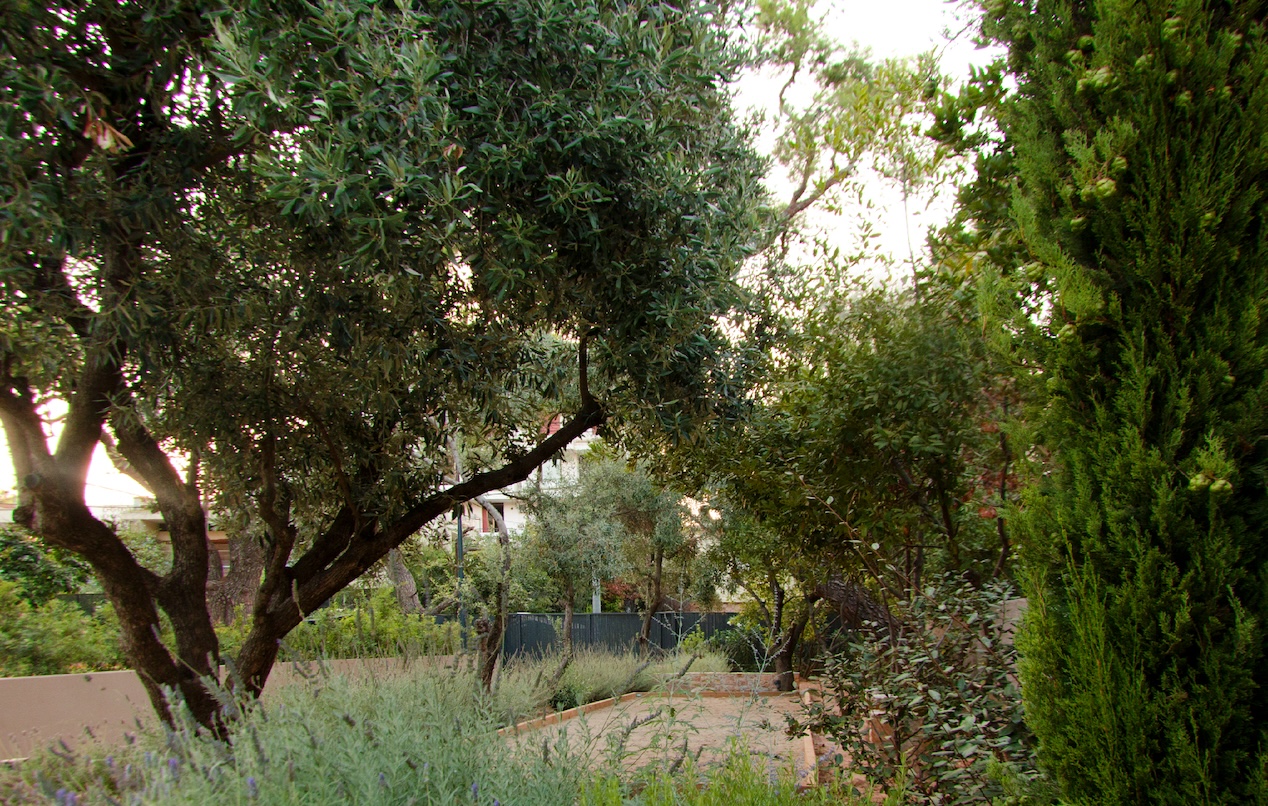 Estate in North Attica | Photo by Eleni Tsirintani, Landscape Architect