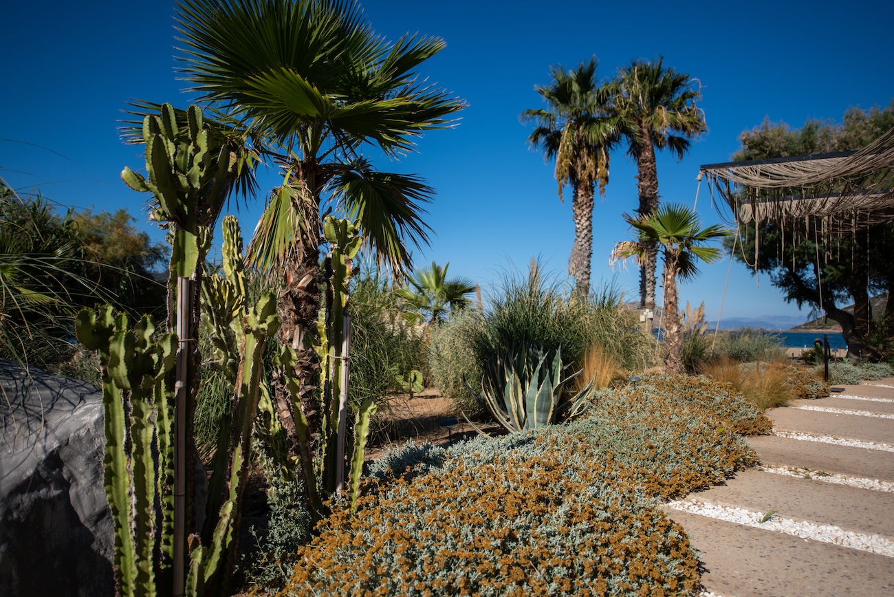 Porto Rafti Bar | Nakal