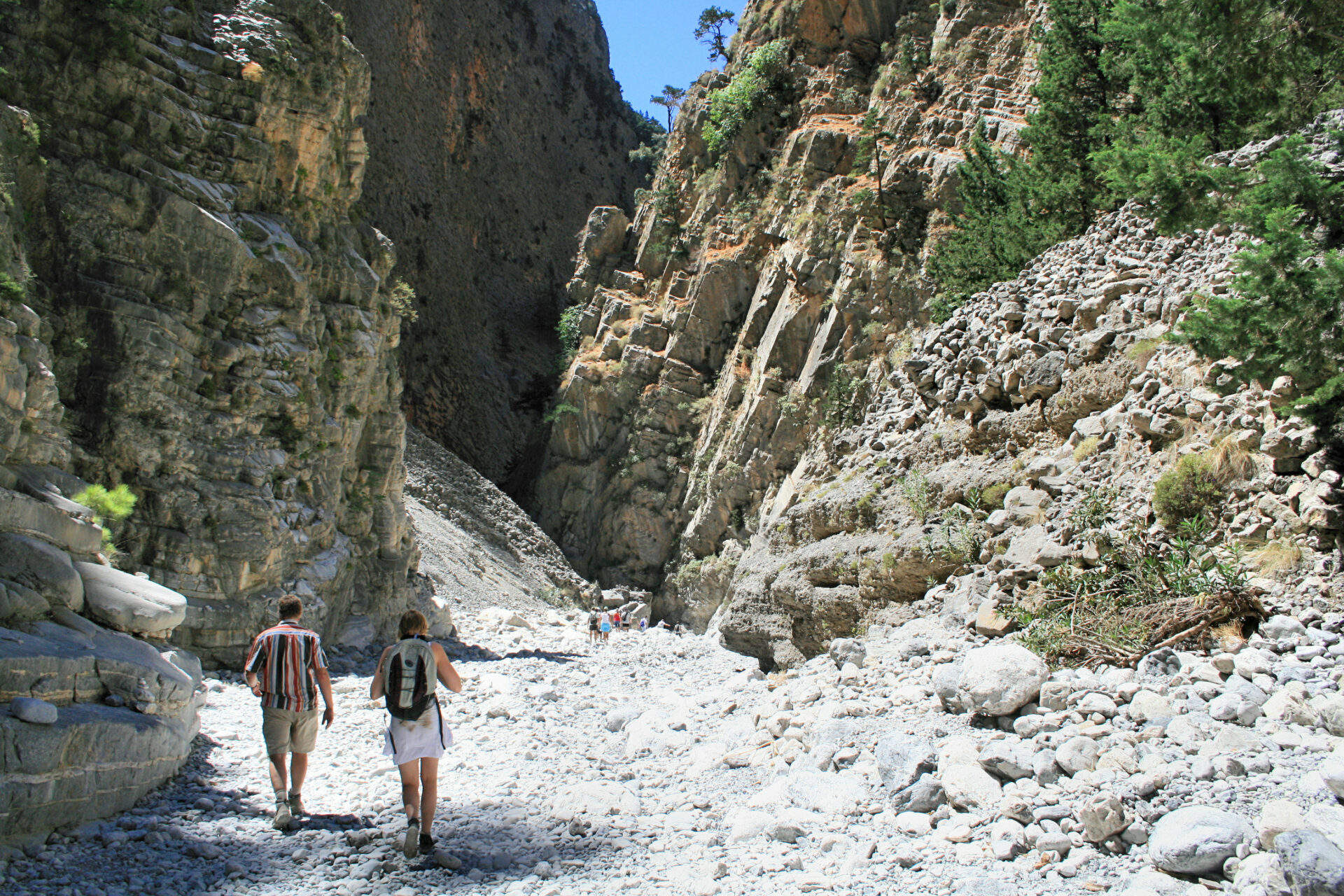 Samaria Gorge, a Natural Habitat for Kri-Kri