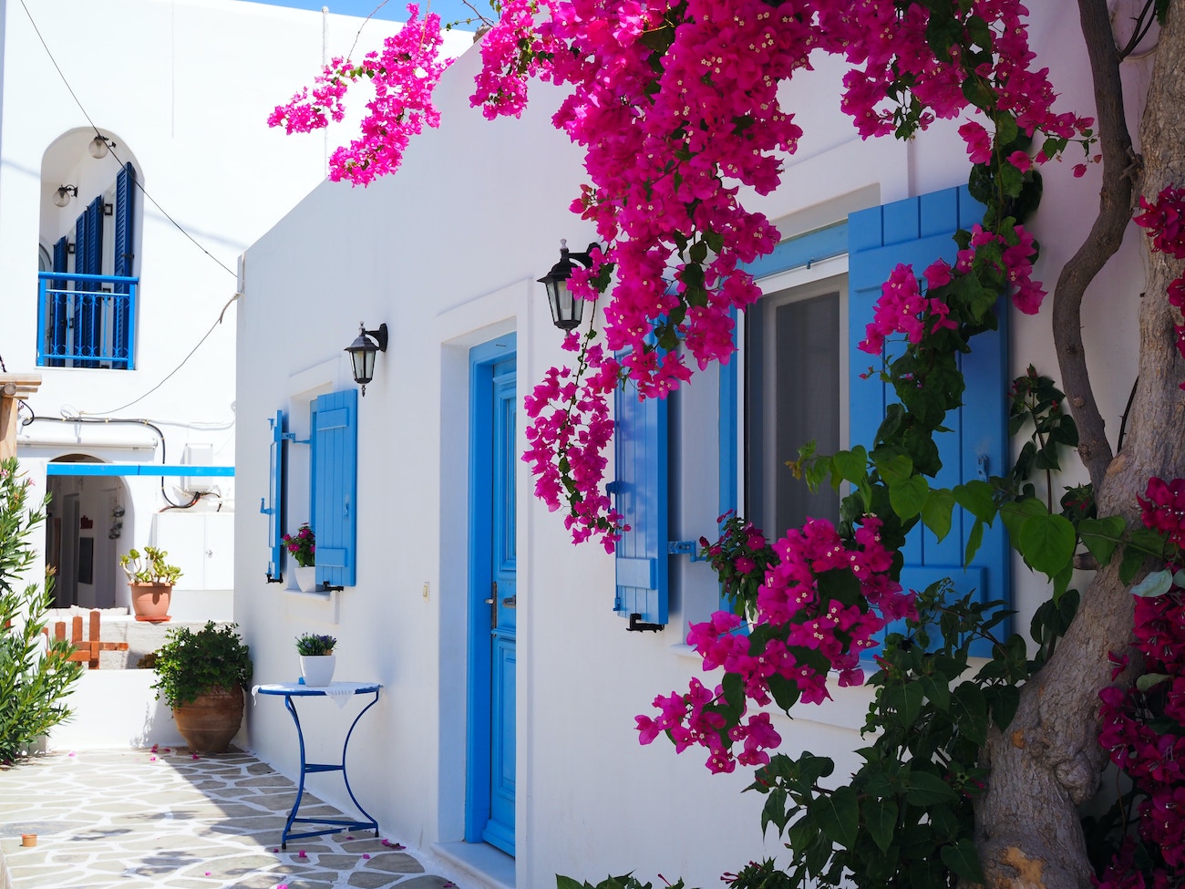 Bougainvillas in Greece
