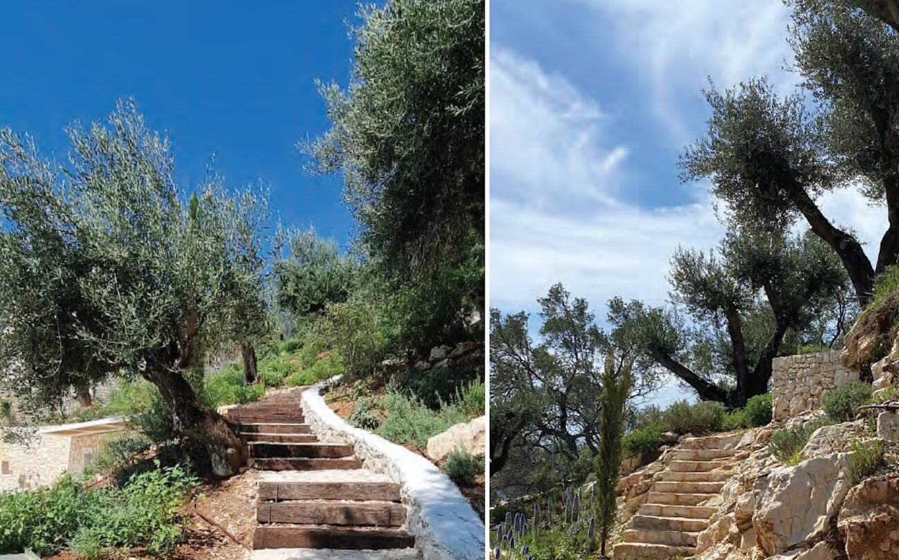 Estate in Corfu | Photo by Eleni Tsirintani, Landscape Architect