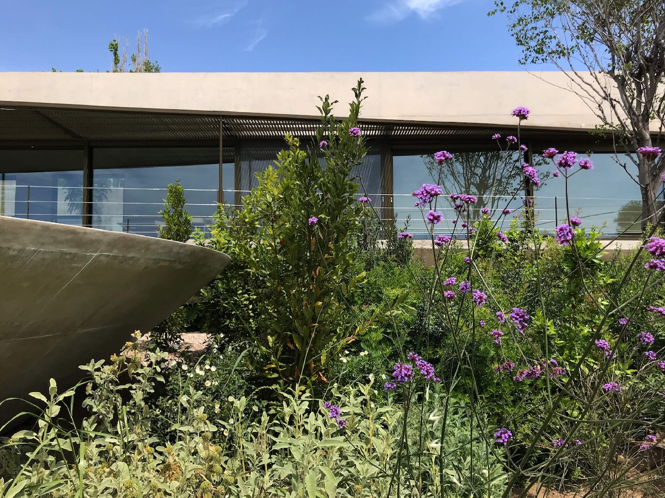 Residence in Evoia | Landscape Design