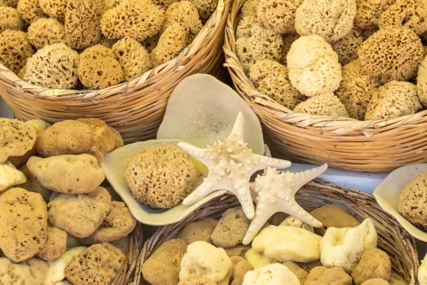 Sea Sponges Like Those in Symi