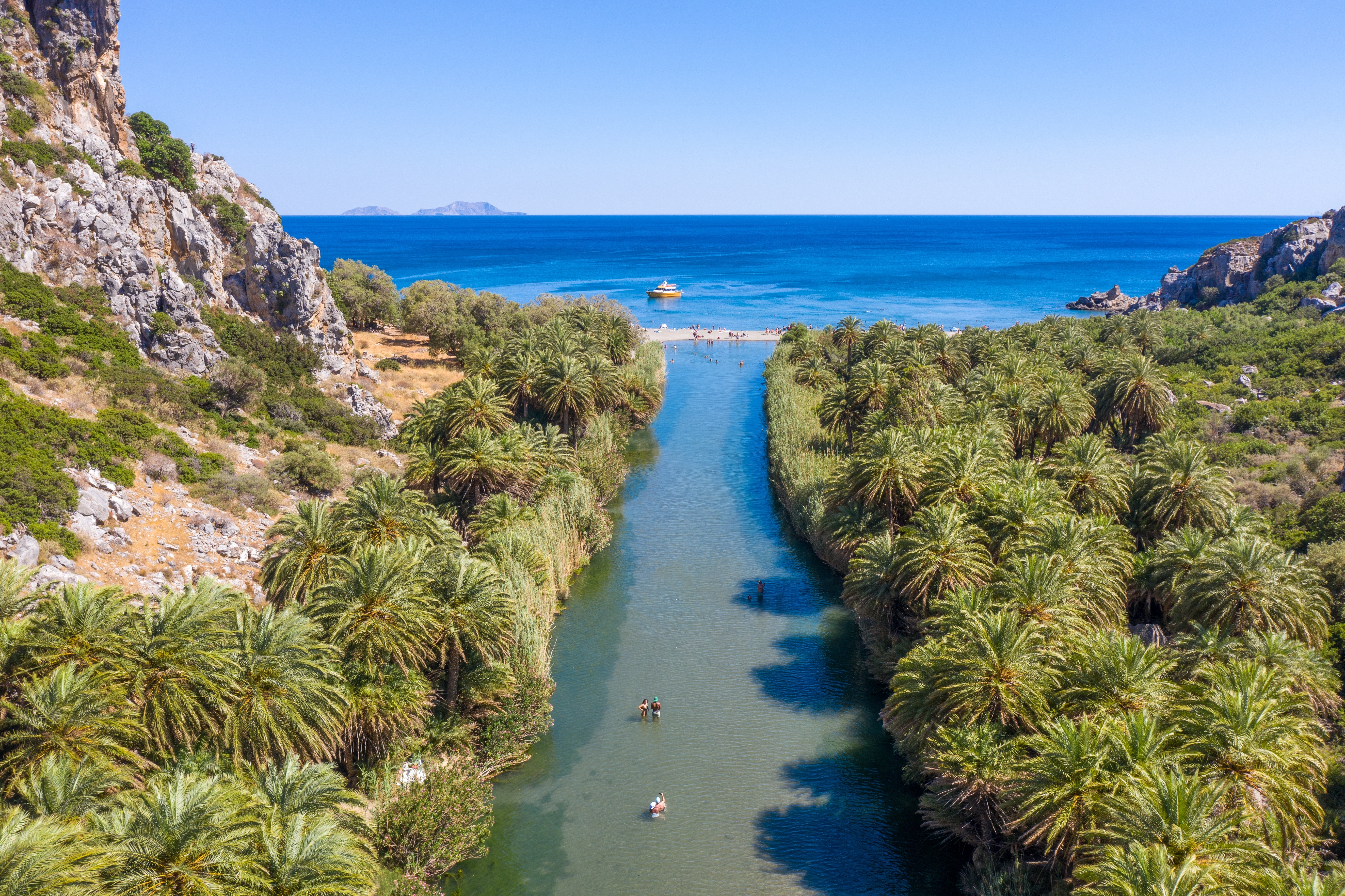 Preveli Palm Forest