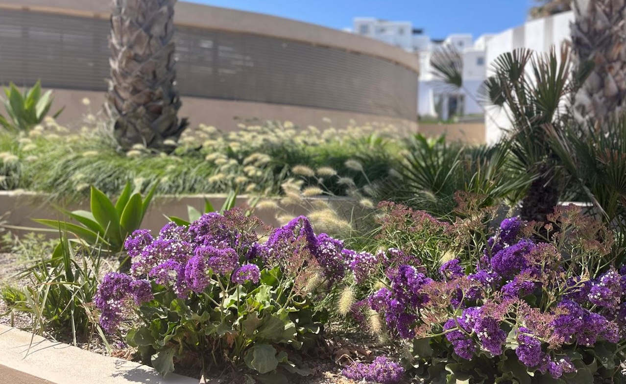 Landscape in Paros | Tsirintani Architect