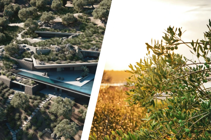 Green Roofs, Villa V