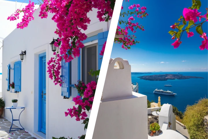 Bougainvillas in Greece