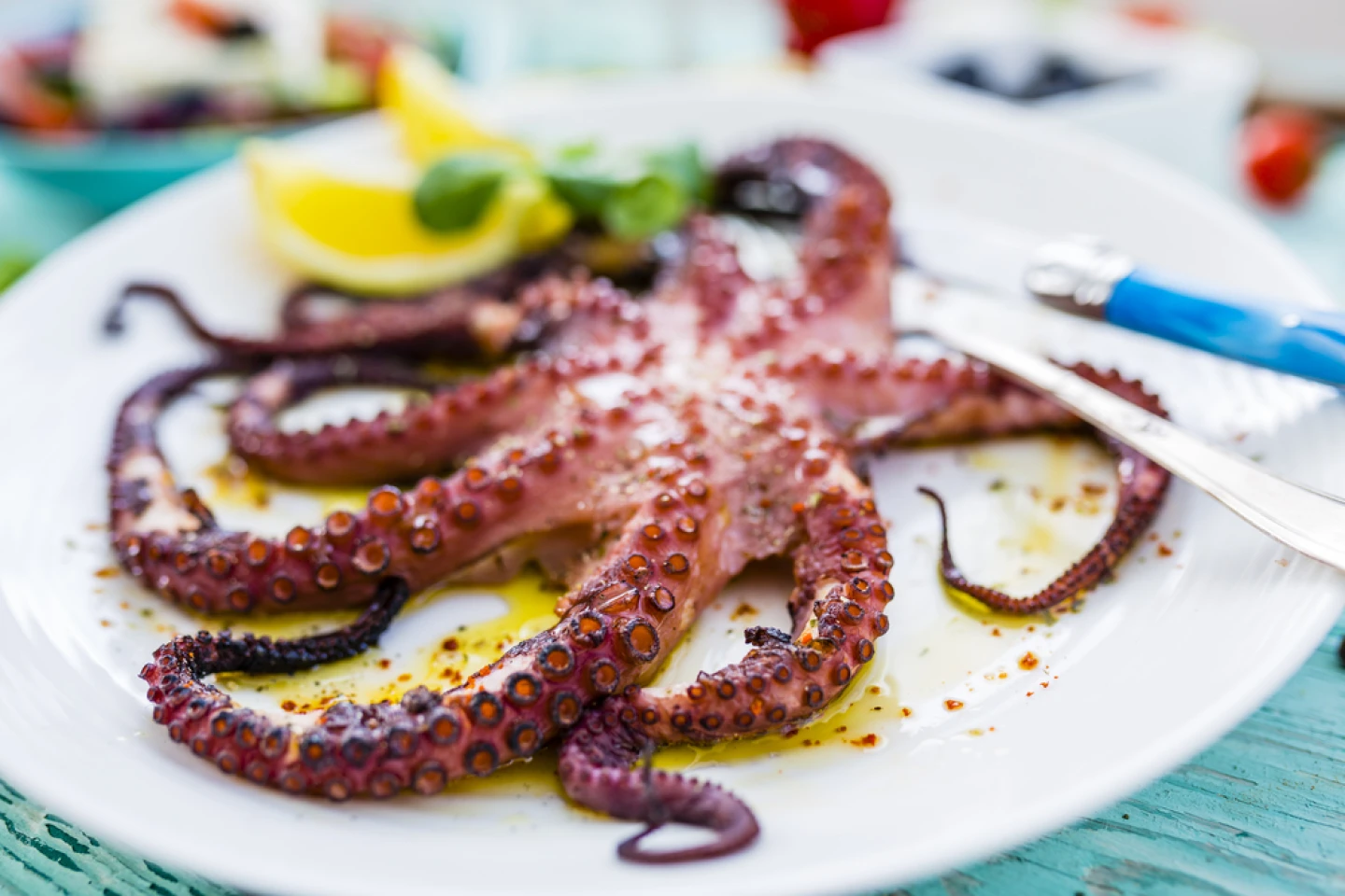 Grilled Octopus