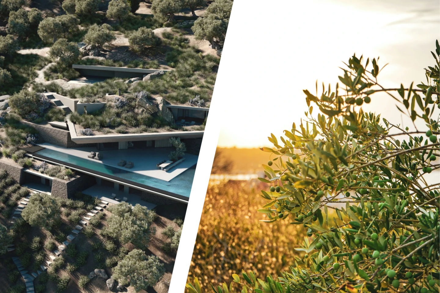 Green Roofs, Villa V