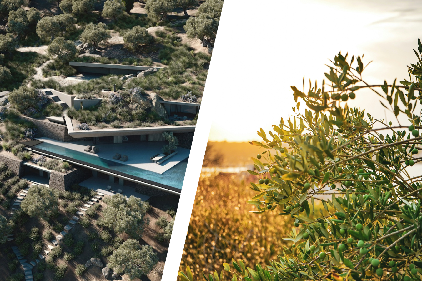 Green Roofs, Villa V